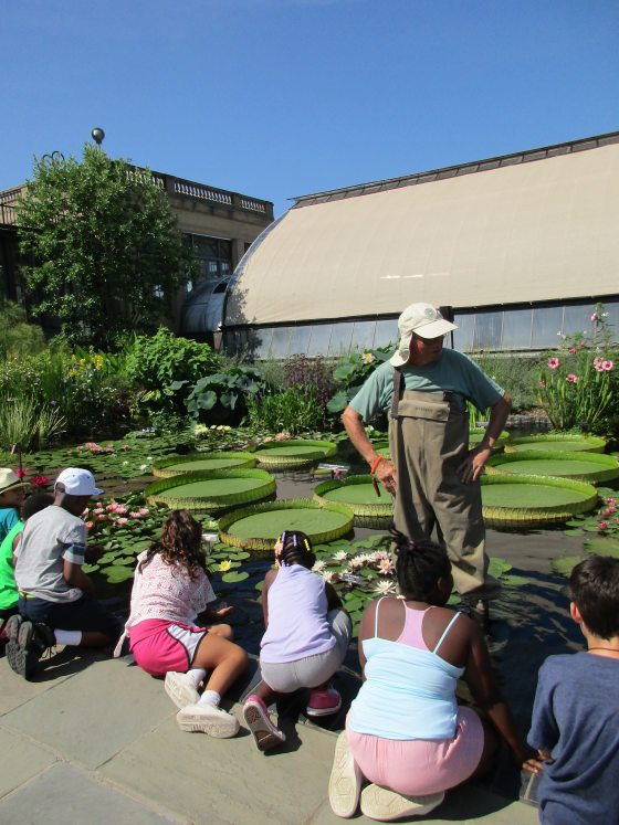 A group gathering around a water lily pool 